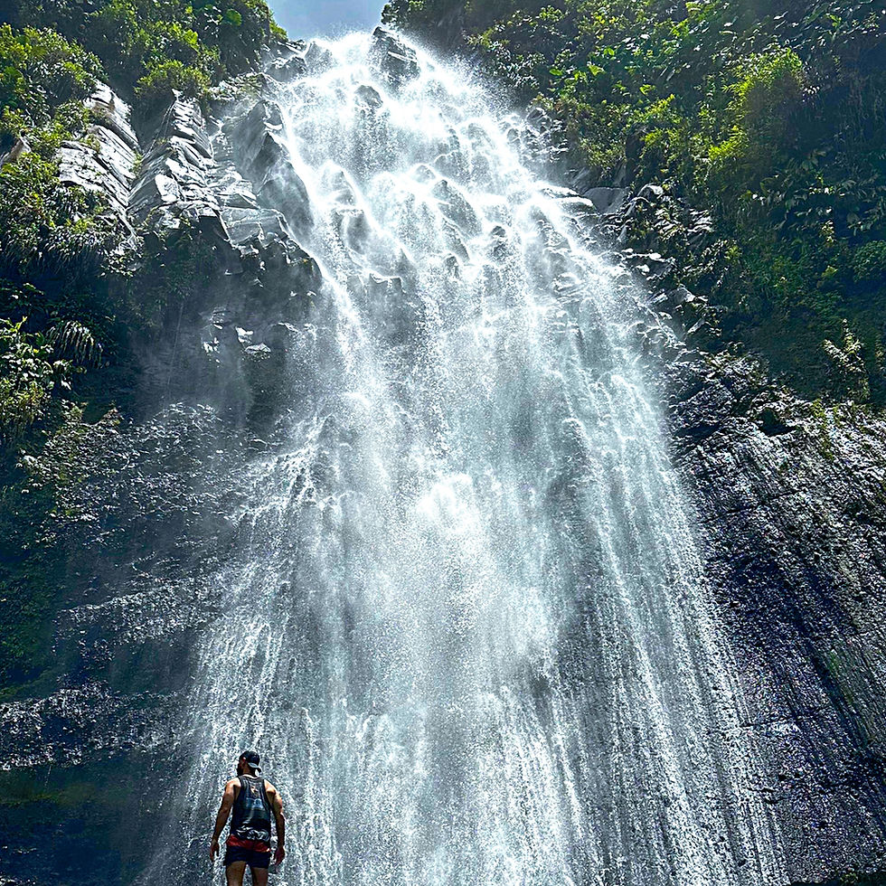 Randonnée de la Cascade Kong, aussi appellé Godzilla, Jurassic ou Ravine Lassere (Capesterre-Belle-Eau, Guadeloupe) - Comment la trouver ? 