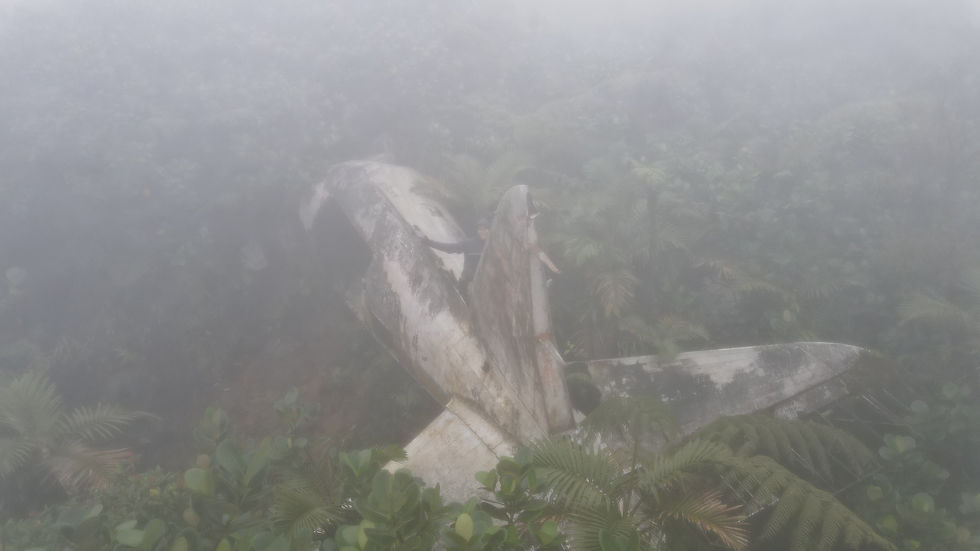 Miniature : 🤫📍Avion DC-3 écrasé sur la Soufrière - Trace Vérifiée sur le Terrain