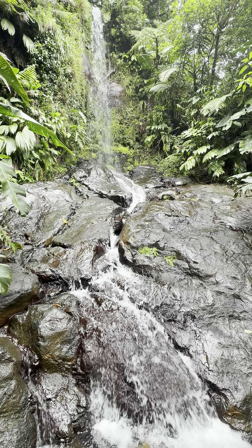 Miniature : 📍 Cascades Ravine Longueteau  - Trace Vérifiée sur le Terrain