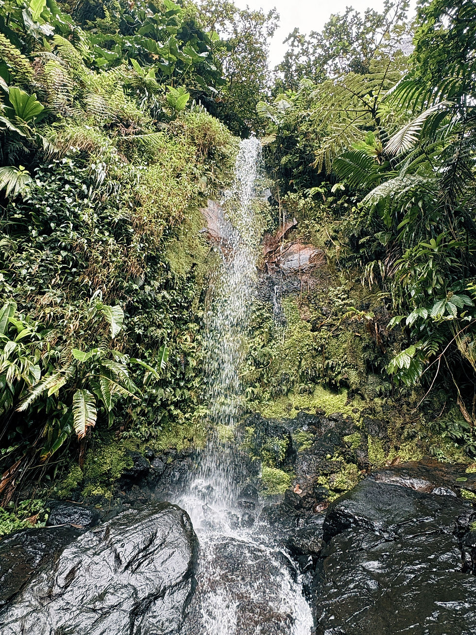 Miniature : 🤫📍 Cascades Ravine Longueteau  - Trace Vérifiée sur le Terrain