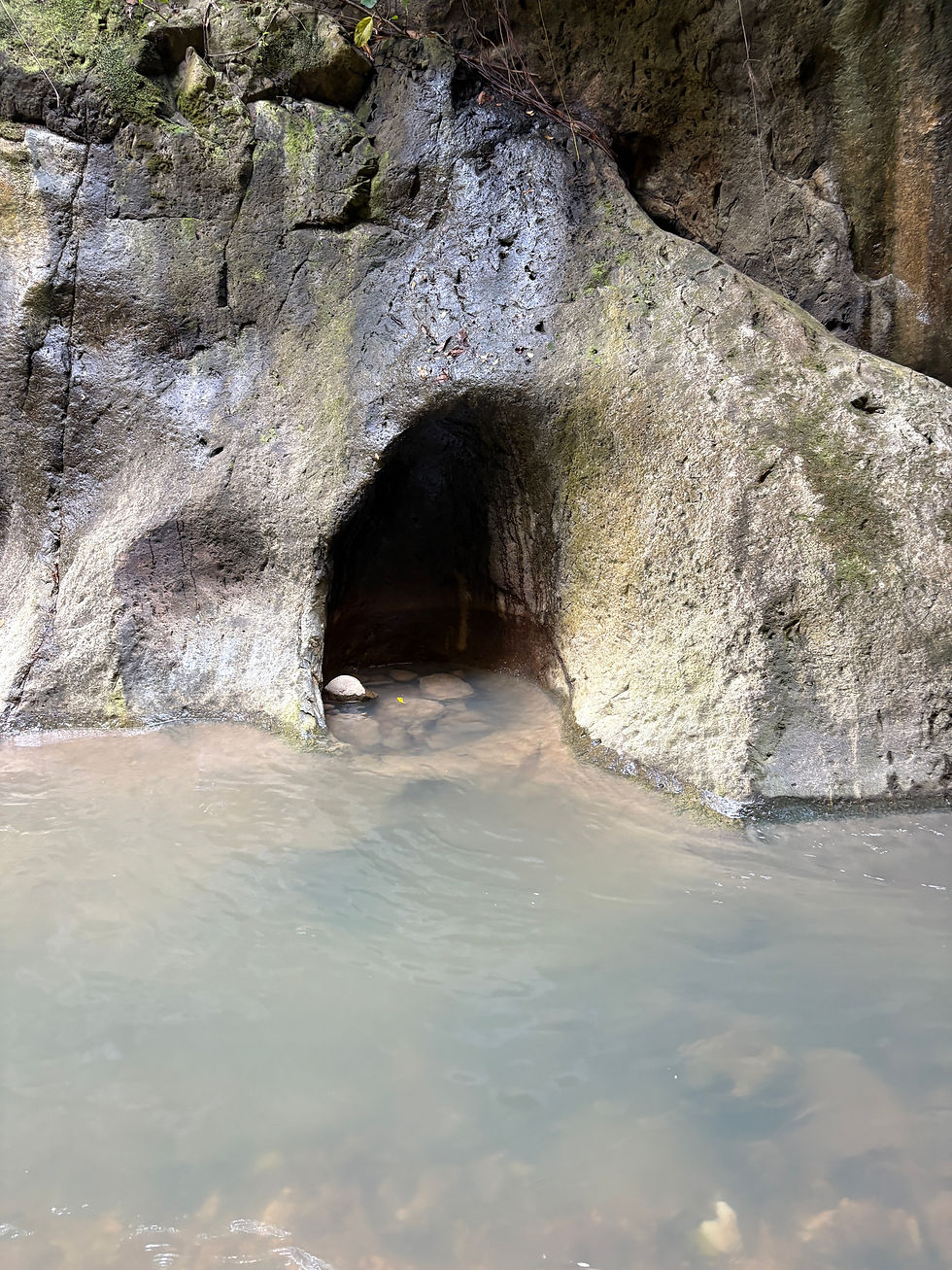 Miniature : 📍 Ravine Grande Plaine - Trace Vérifiée sur le Terrain