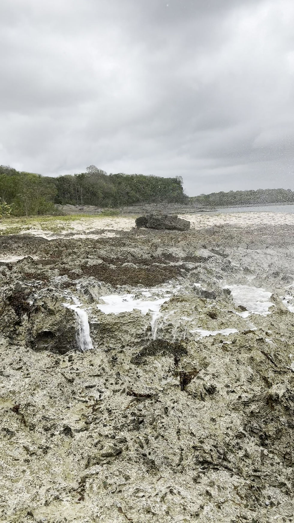 Miniature : 📍Souffleur + Plage Anse Colas - Trace Vérifiée sur le Terrain