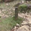 Thumbnail: 📍La Soufrière - Trace Vérifiée sur le Terrain
