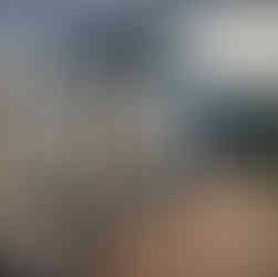 Toilettes de l'accueil des Chutes du Carbet