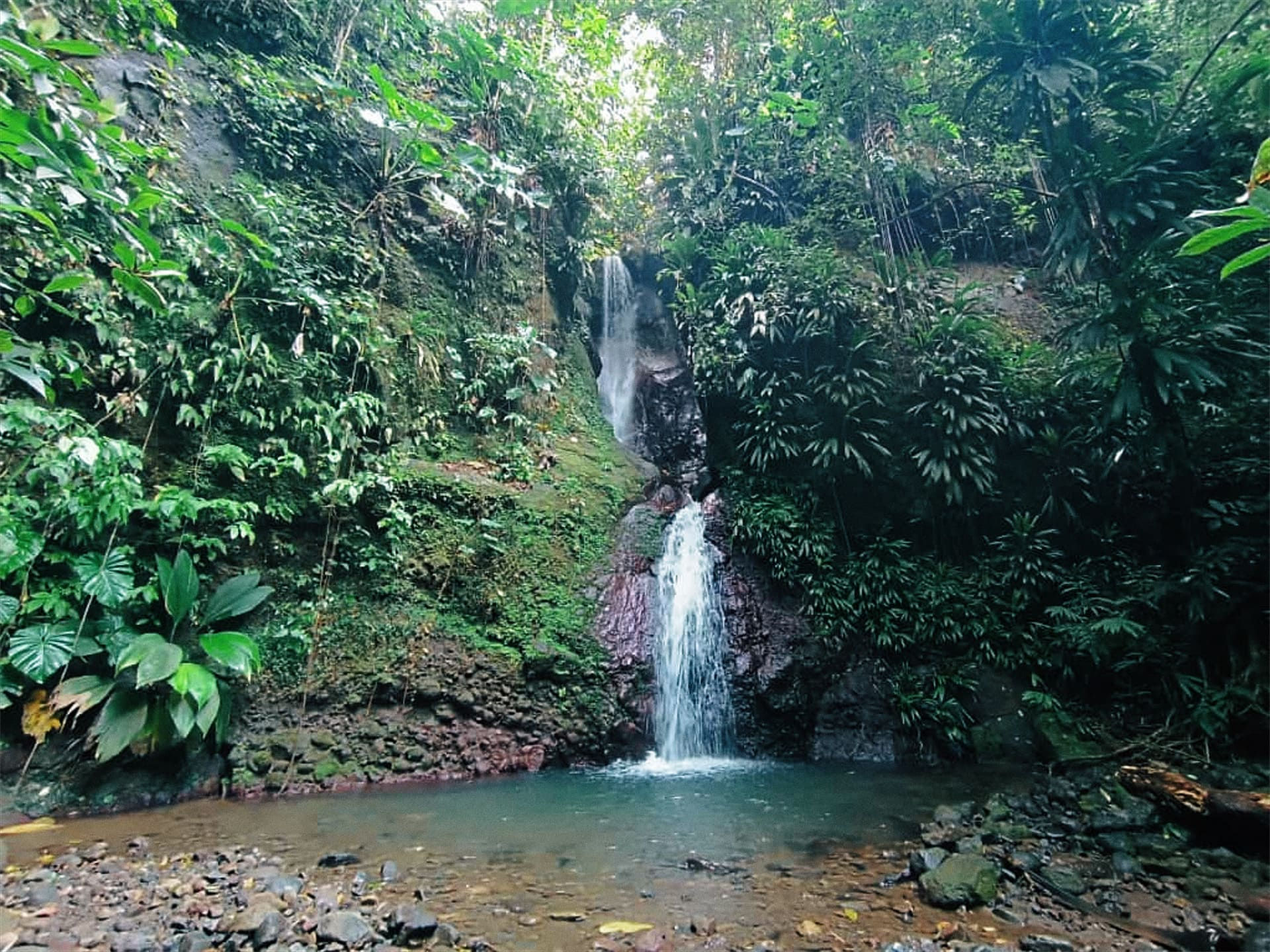 riviere-sentier-randonnee-cascade-dufour-basse-terre