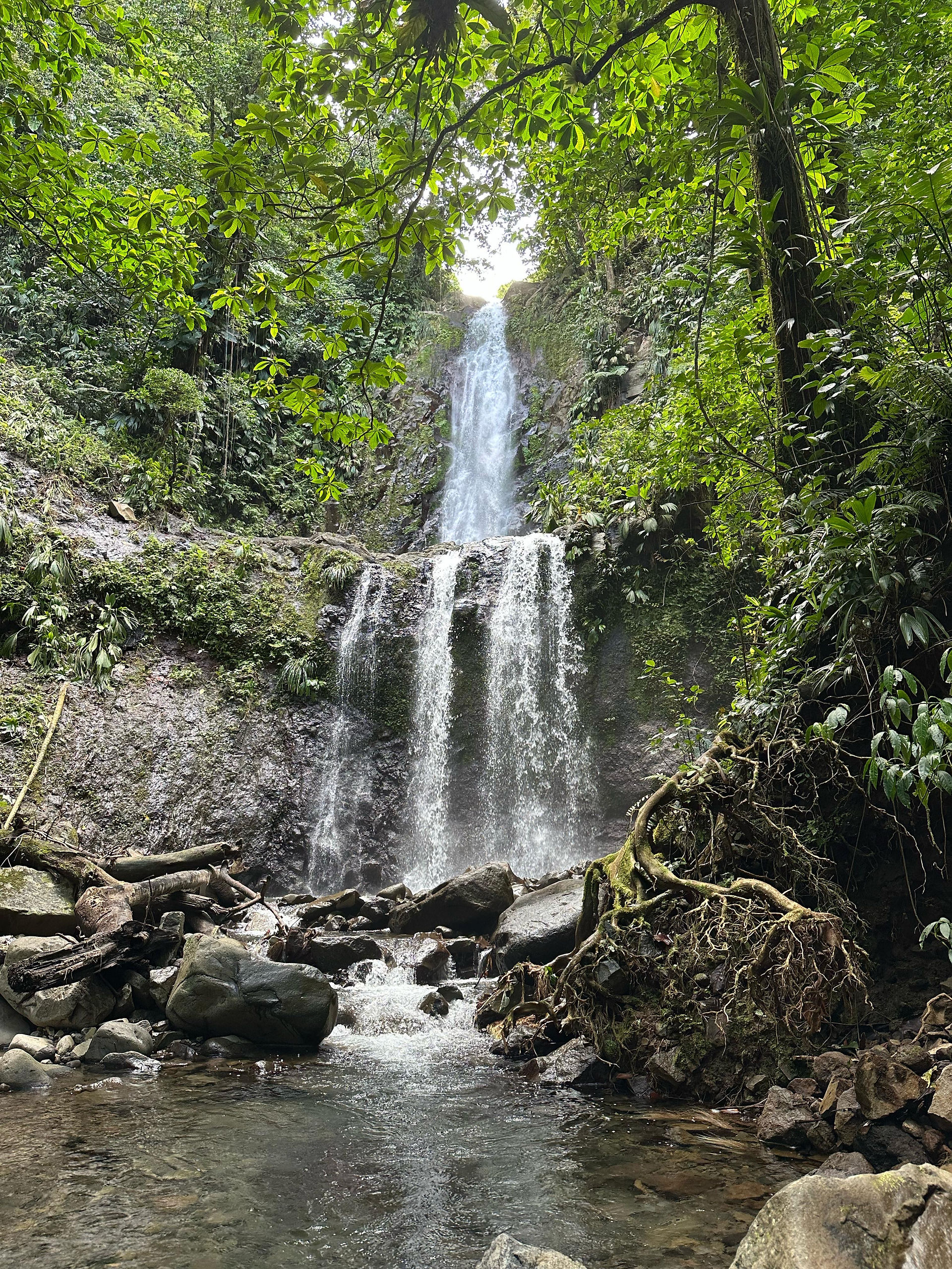 Chutes 4 Moreau Guadeloupe