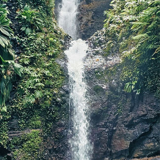 Cascade Tambour Guadeloupe Petit-Bourg