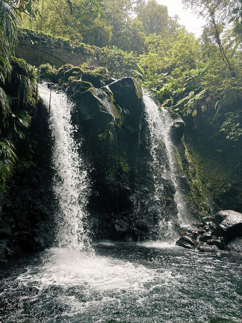 Miniature : 🤫📍 Cascade Secrète Gwòskòd  - Trace Vérifiée sur le Terrain