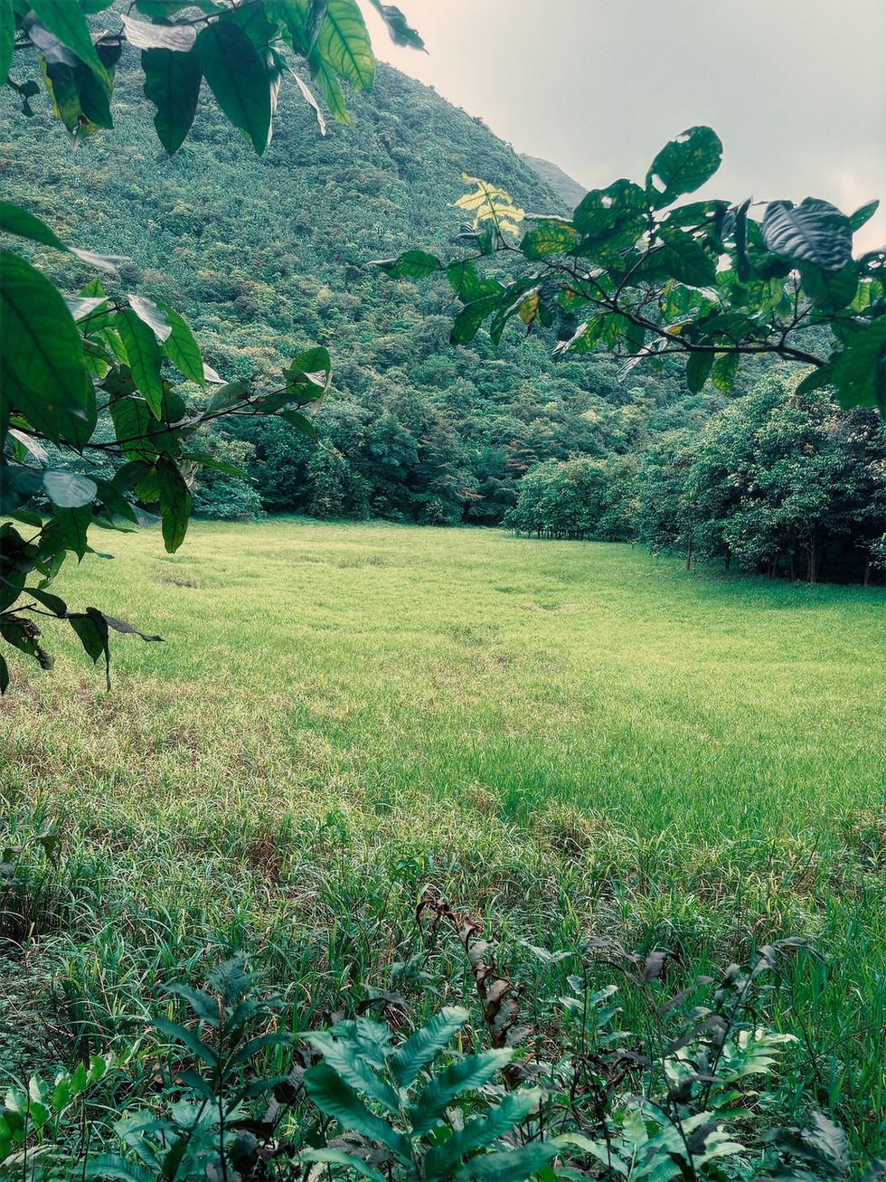 Miniature : 📍 Trace des Etangs - Trace Vérifiée sur le Terrain