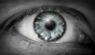 large eye.jpg