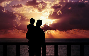 TOG2438 replacement.jpeg