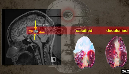 Screen Shot 2024-04-07 at 11.49.30 AM.png