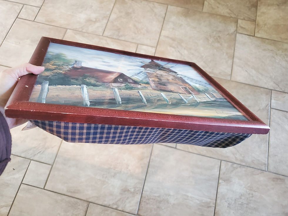 An example of a tray for eating. The edge is useful to reduce the risk of accidents. In the video, the tray shown has no edge, so it’s more likely that something could slip and fall. But we use what we have and do our best.