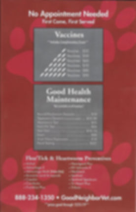 GNV back flyer.jpeg