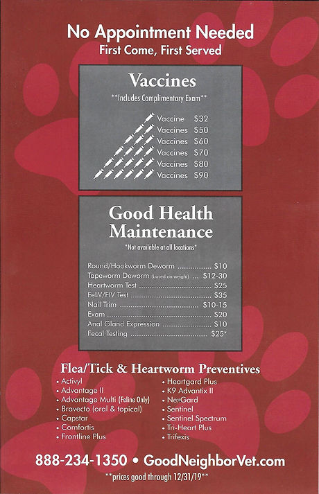 GNV back flyer.jpeg