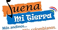 suena mi tierra_edited.jpg