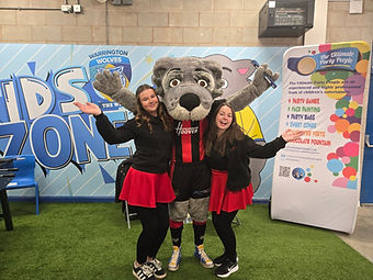 Children's facepainters  in Warrington, Warrington Wolves