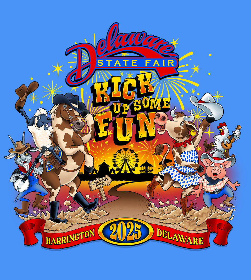 dsf