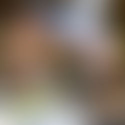 Imke Onnen: Deutsche Hallen-Meisterin im Hochsprung