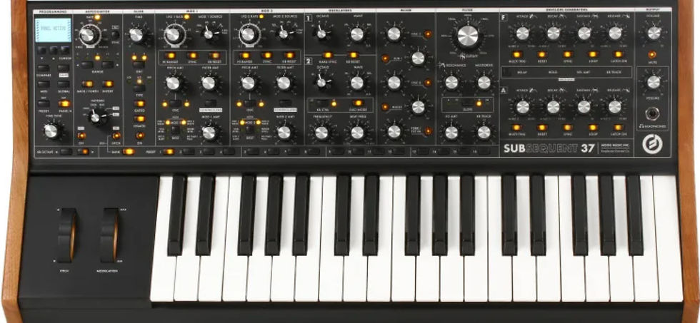 moog.jpg