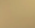 gold metal roof colors.jpg