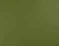 avocado green metal roof colors.jpg