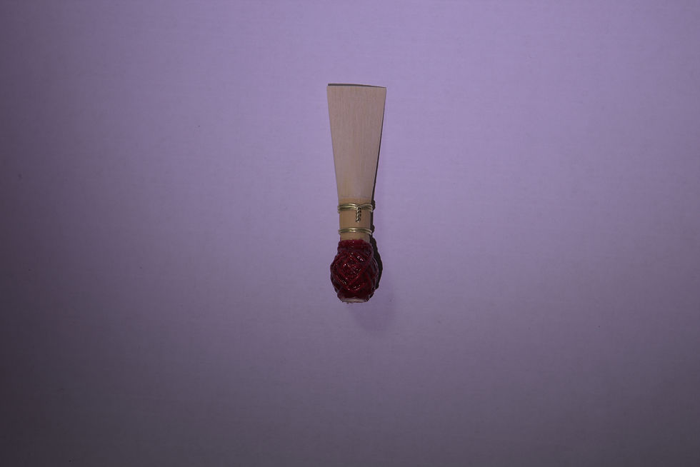 Miniature : ancia fagotto studio