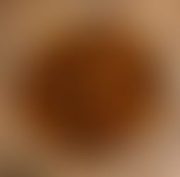 Chicken Tortilla Soup