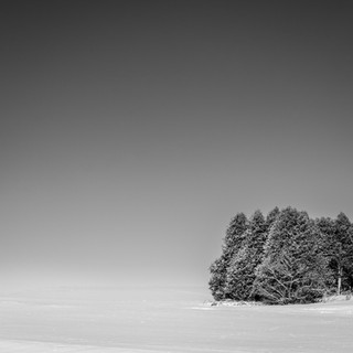 Rick Bogacz - Snow covered trees.jpeg
