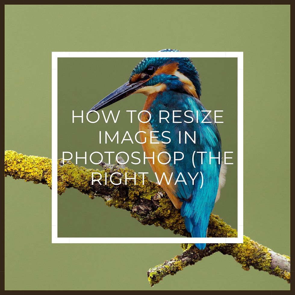 How To: Resize images in Adobe Photoshop
