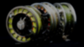 fullsizeoutput_faa.jpeg