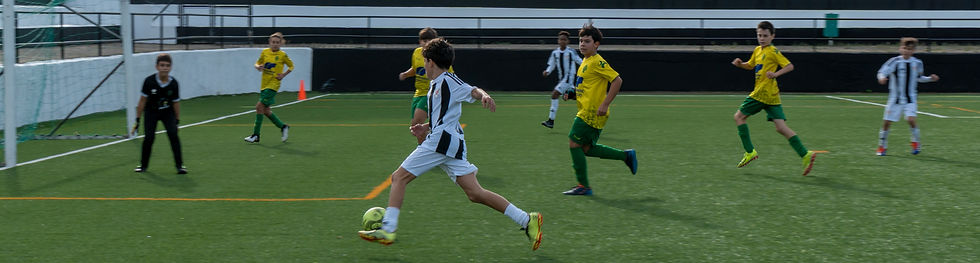 DSC03929_edited.jpg