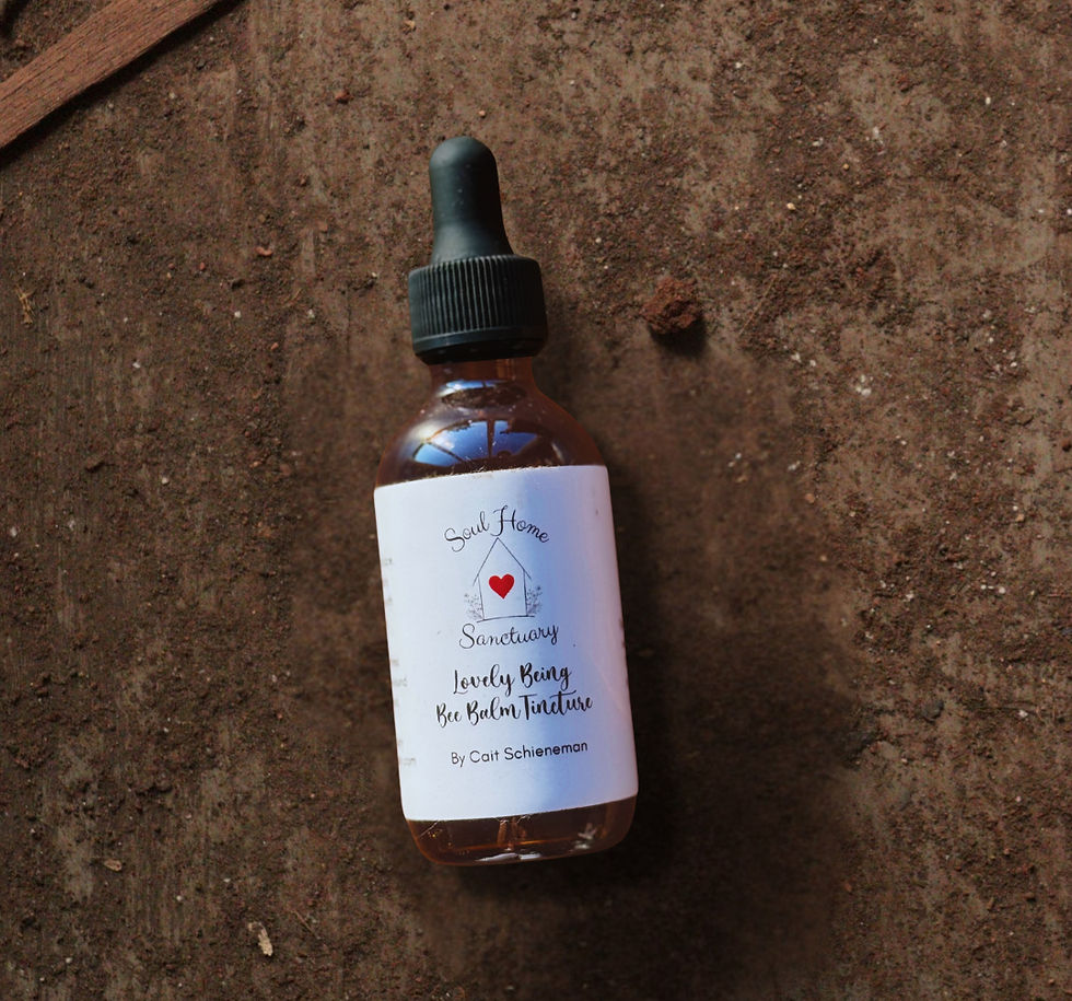 Lovely Being | Bee Balm Tincture