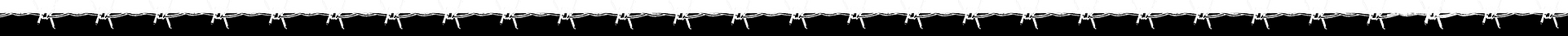 barbedwire_divider2_w_flipped.png