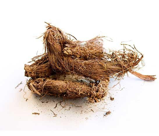 Key Spices and Their Uses in Scripture