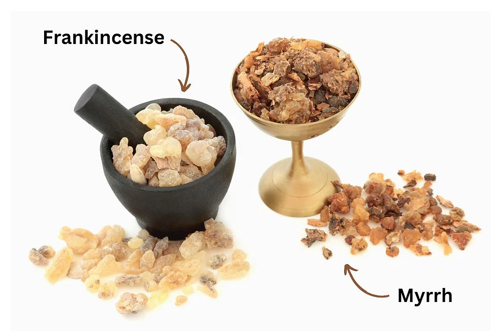 Key Spices and Their Uses in Scripture