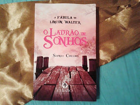 Resenha: O ladrão de sonhos