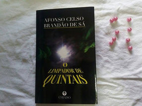 Resenha: O limpador de quintais