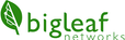 BigLeaf.png