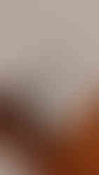 scissors on white t shirt