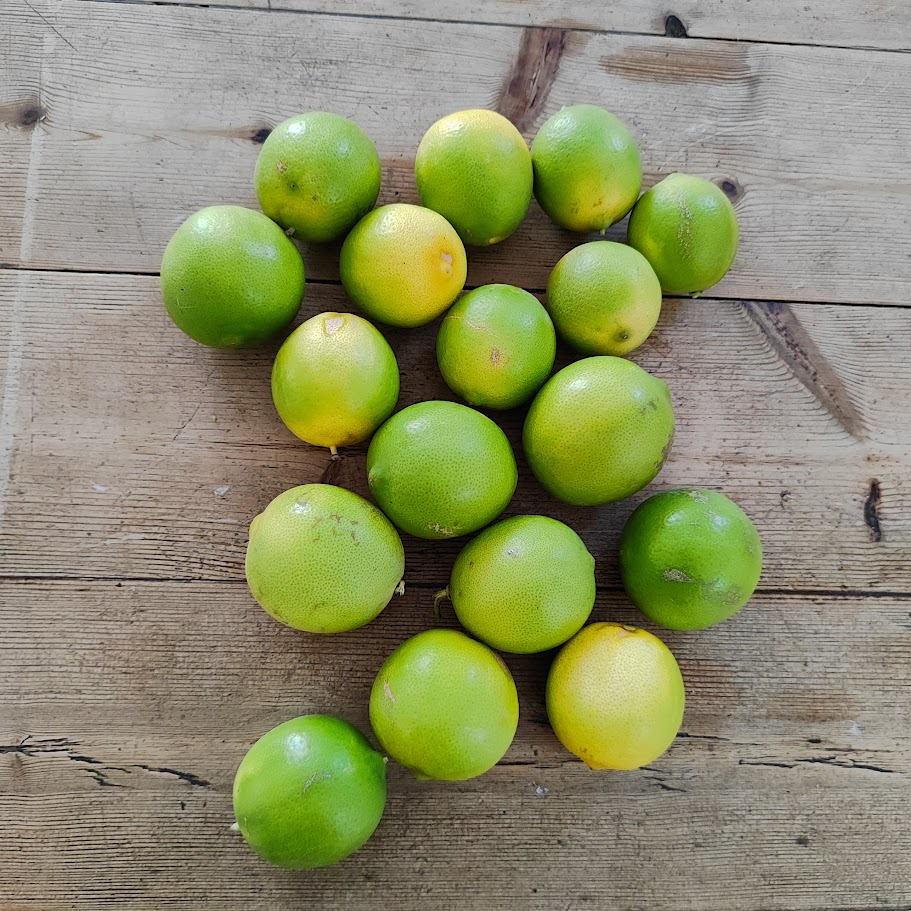 lemons on a table
