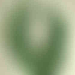 רצועות בד ירוקות בצבעים שונים