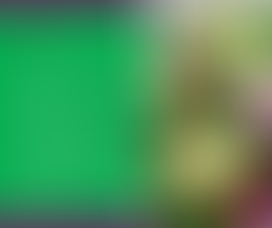 Green made delicious!