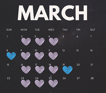 Screenshot 2026-02-24 at 10.20.29 AM.png