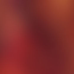 The Perfect Verse Up Next!