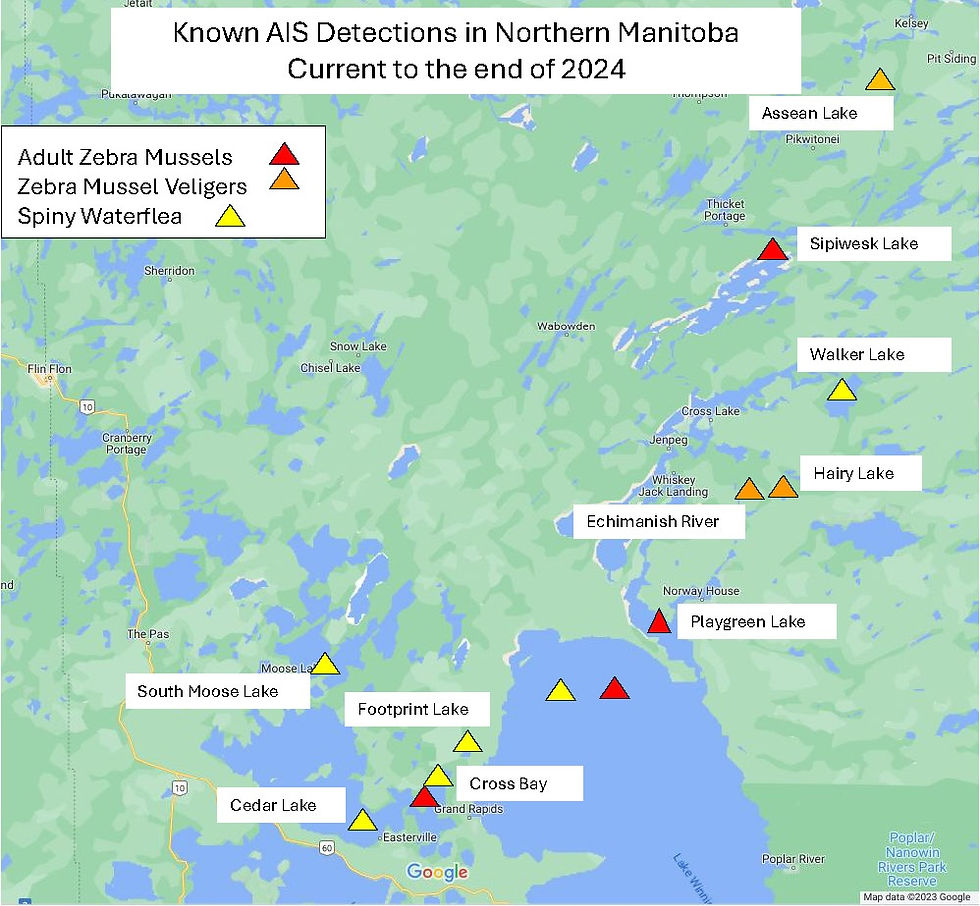 Map of known AIS detections in Northern Manitoba