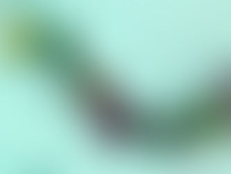 Diamo la caccia al bruco