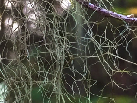 Interdependence is universal