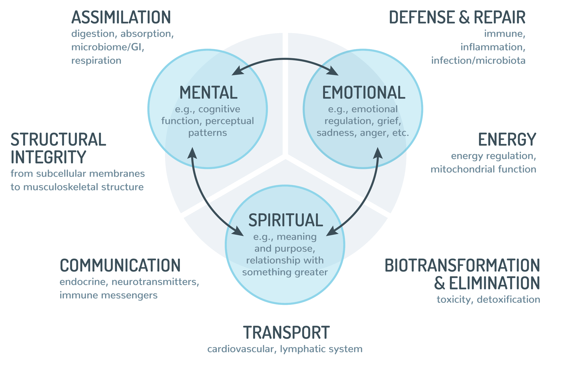 functional-medicine-idaho-matrix.gif