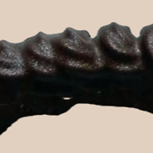 Pařížský rohlíček bezlepkový